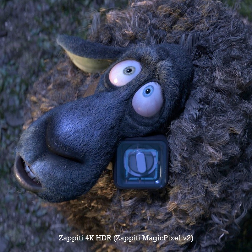 זפיטי כבש MAGIC PIXEL V2