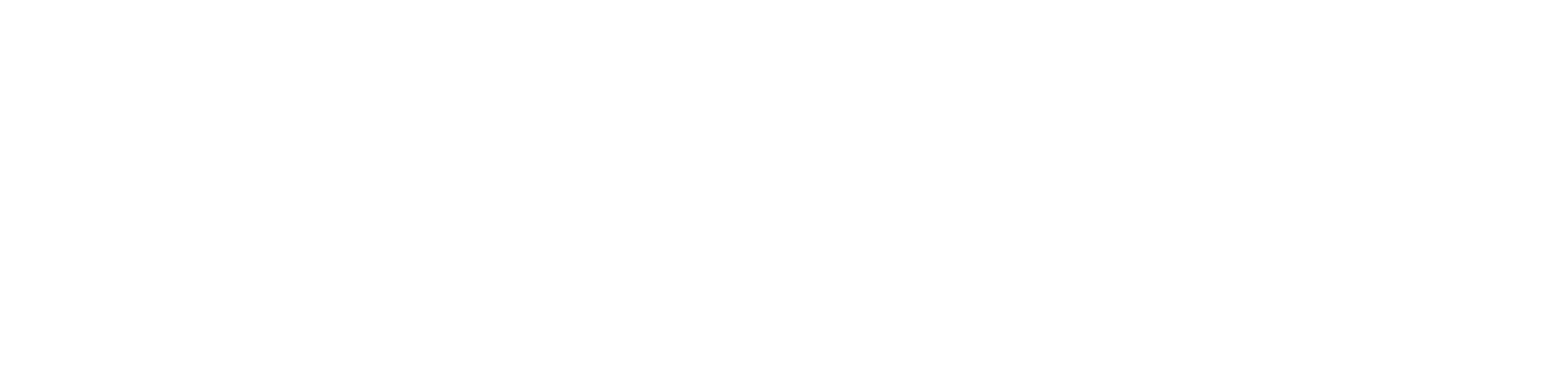 benchmarkmedia Logo